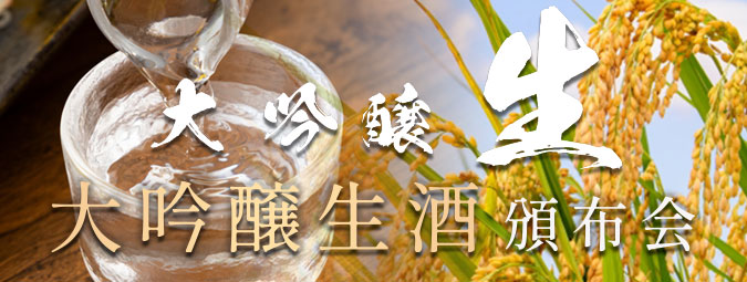 ����������۲�2026